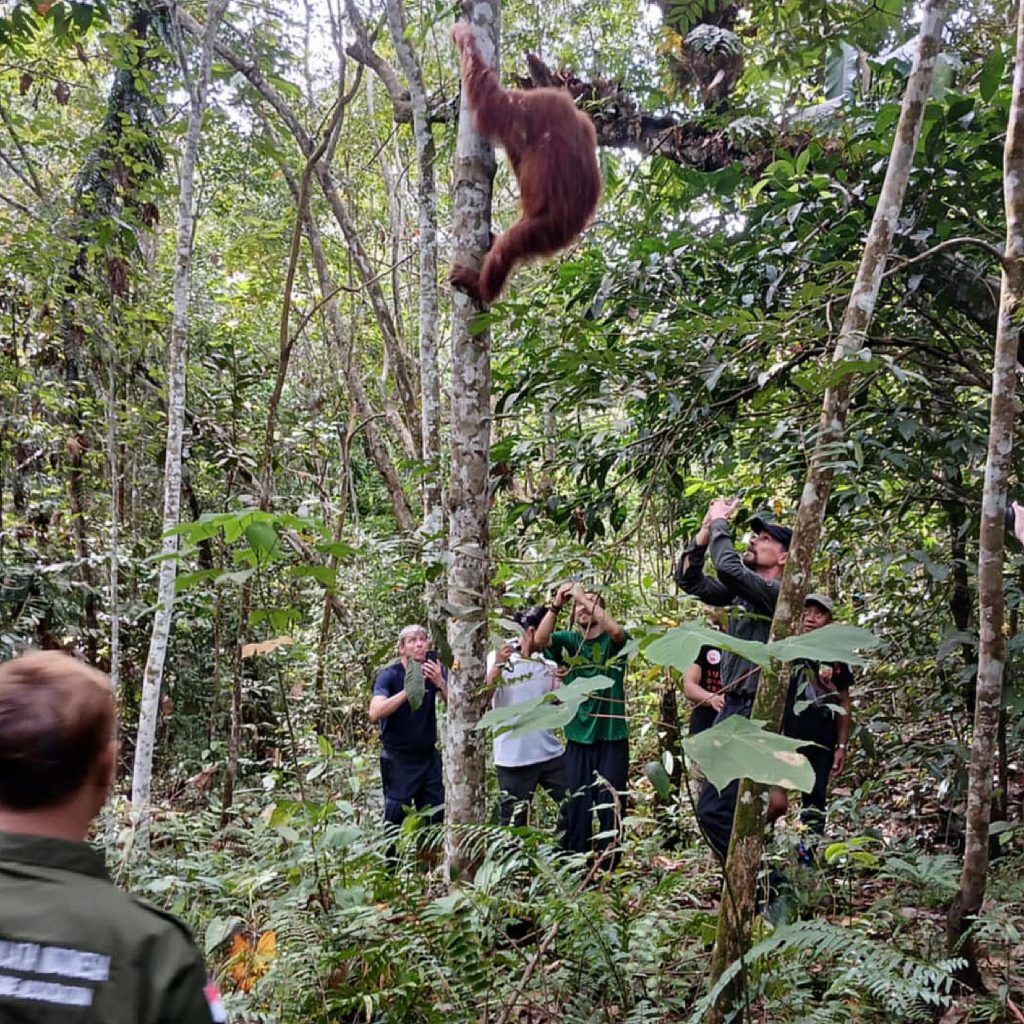 asim-paris-guesthouse-bukit lawang-maison d'hôtes-sumatra-indonésie-accueil de groupe-aventure-trek-trekking073
