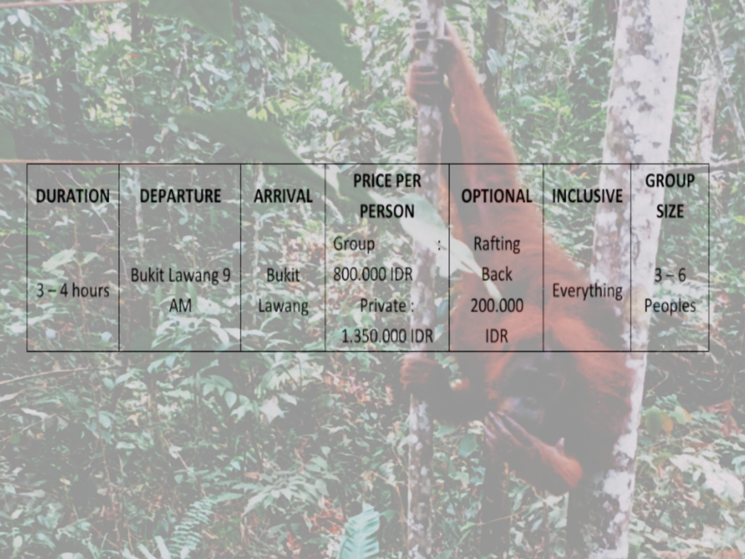 3 à 4 Heures de Trek